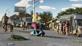Leonida Keys, official still: Main street, iguana included